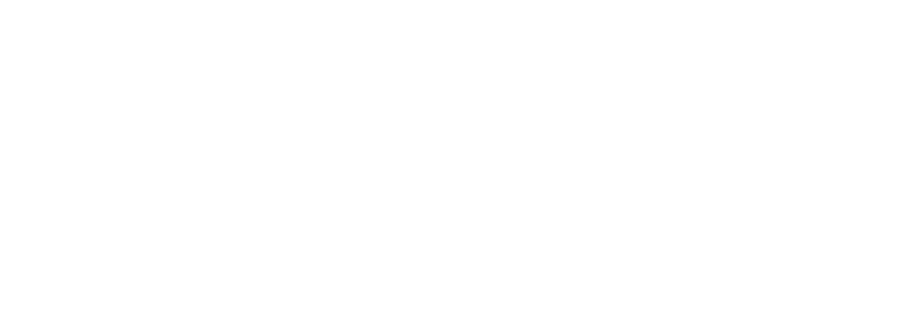 Logo organización 4